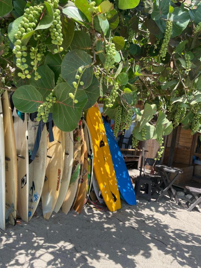 Guachaca Chill And Surf Mendihuaca酒店 外观 照片
