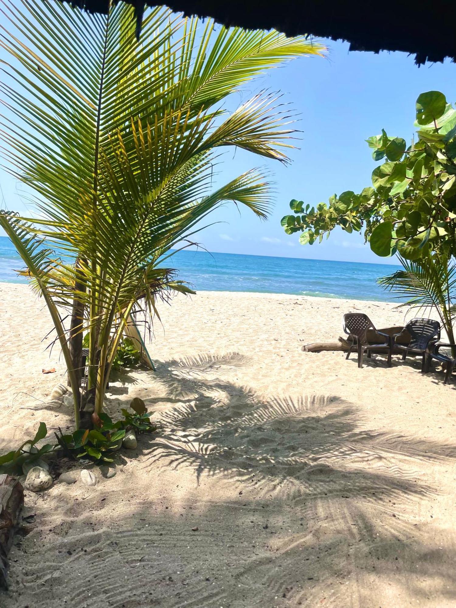 Guachaca Chill And Surf Mendihuaca酒店 外观 照片